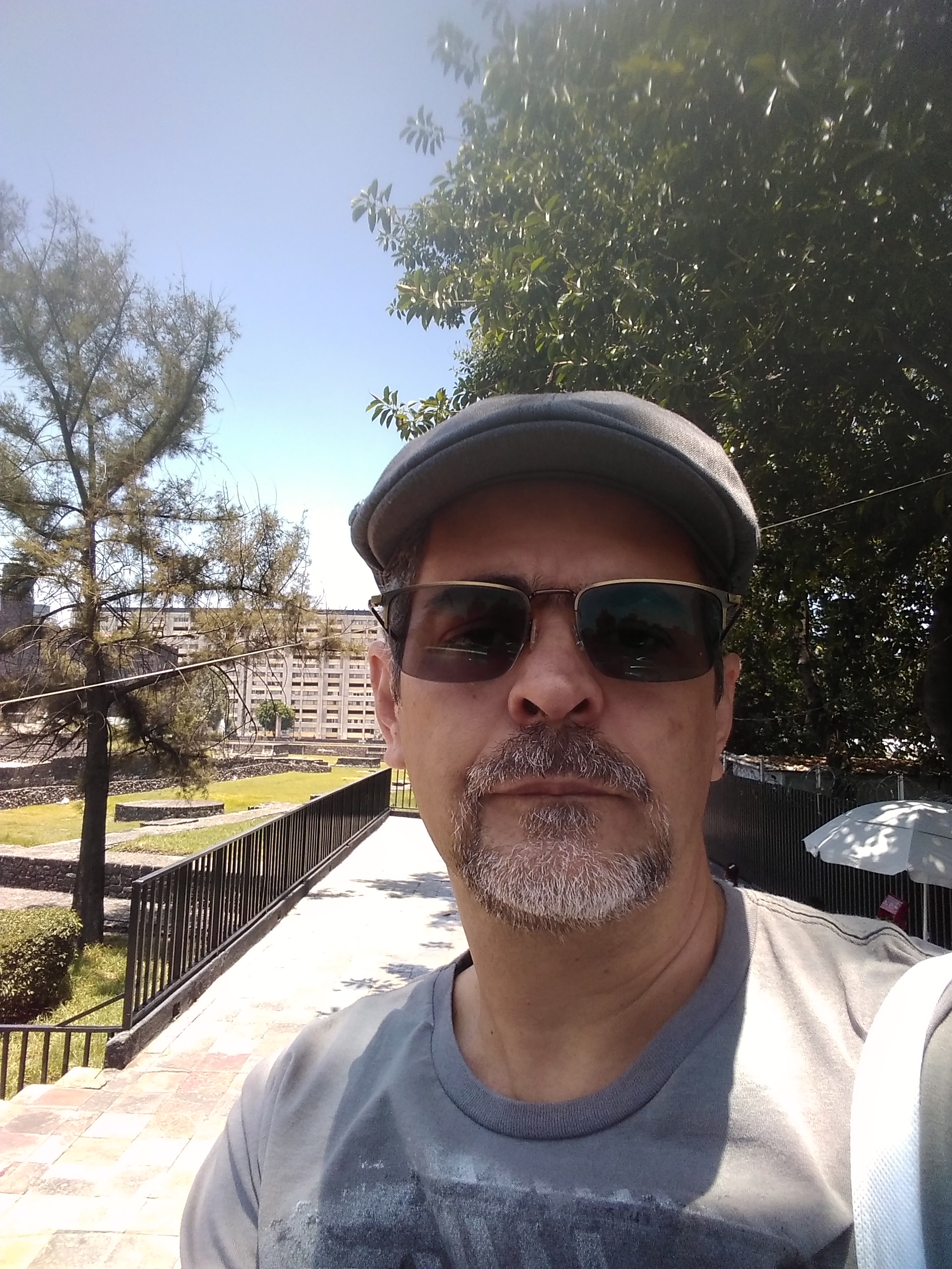 Prof. Dr. João Paulino da Silva Neto